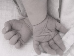 What Everyone Planning to Have a Baby Needs to Know