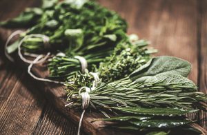 Chinese Herbal Medicine - Brisbane Herbal Medicine Chinese Herbal Medicine - Brisbane Herbal Medicine